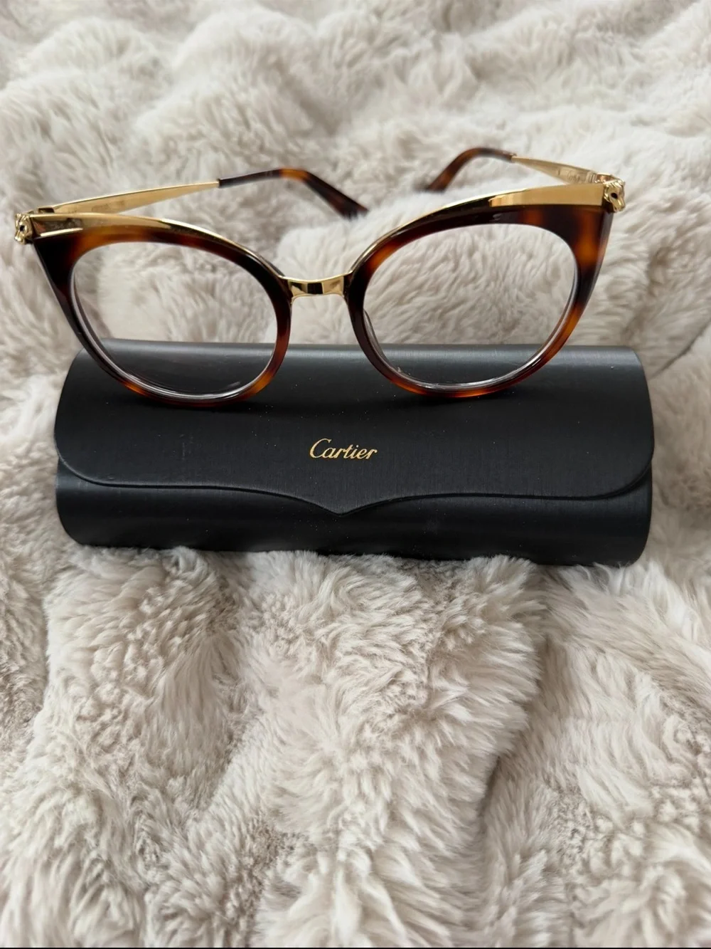 Cartier stylish cat